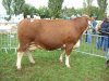 montigny 2010 championne jeune